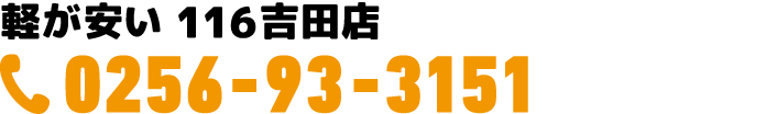 0256-93-3151